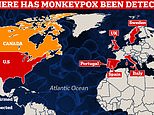 Monkeypox is now spotted in Italy and Sweden – bringing number of countries with cases to SEVEN