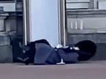 Queen’s Guard soldier appears to overbalance and topples backwards in front of Buckingham Palace