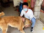 Saved – the last dog at the meat shop: Pooch named Lucky is rescued from slaughter at Chinese store 