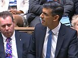 JOHN O’CONNELL: There was nothing low tax about Rishi Sunak’s announcement