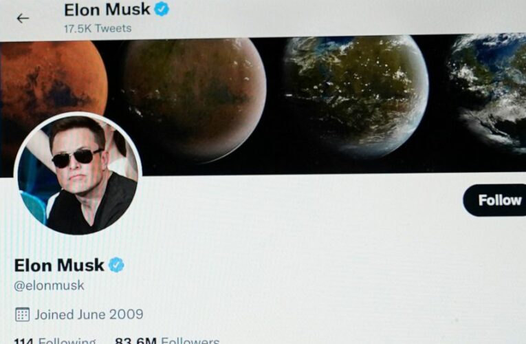 Musk hints at paying less for Twitter than his $44B offer