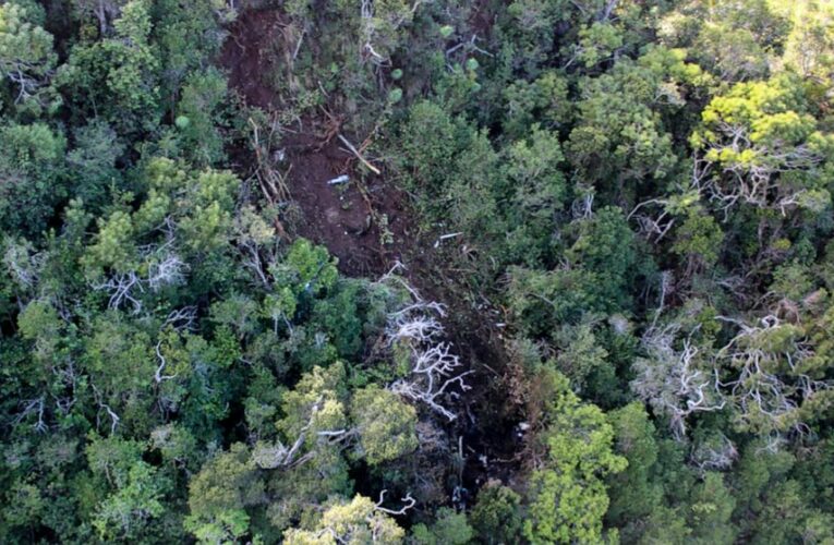 Hawaii helicopter crash that killed 7 was ‘100% preventable’
