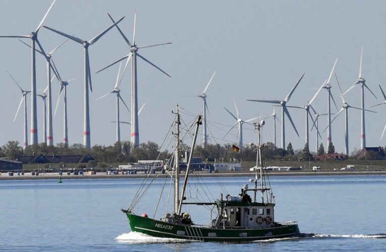 4 EU nations to harness North Sea wind for green transition