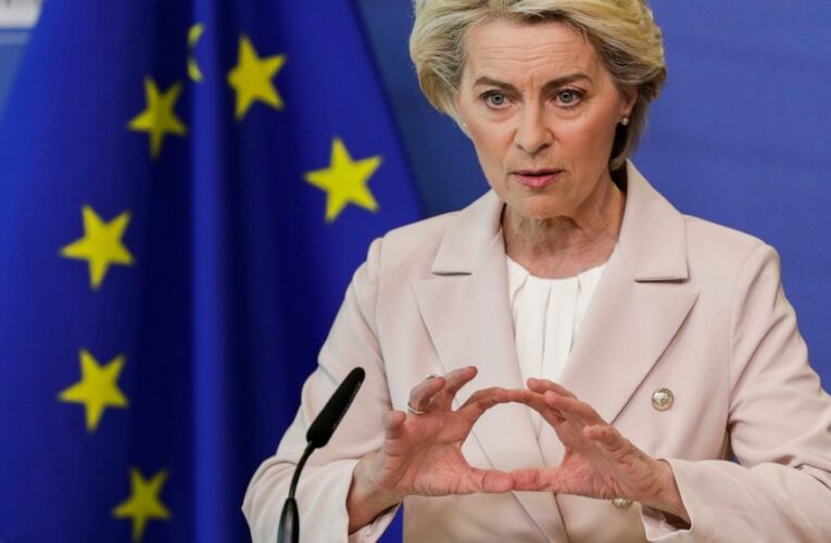 EU leader calls for Russian oil ban in new set of sanctions