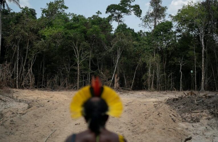 Brazil’s Amazon deforestation hits record for month of April