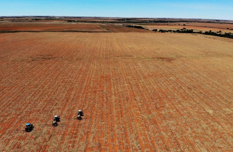 War in Ukraine adds to food price hikes, hunger in Africa