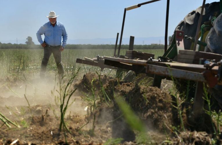 California drought is pushing Latino farmers and workers to make difficult decisions