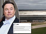 Musk doubles down on his new WFH ultimatum telling Tesla staff they must be with their colleagues