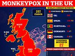 Another 11 people are diagnosed with monkeypox in the UK bringing total to 207