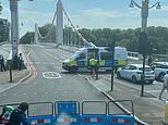 Man dies after he jumped into the River Thames after being Tasered THREE times by officers