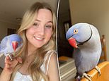 Hamlet the talking parrot: Bridget Chant’s parrot helps her cope with anxiety