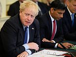 Boris Johnson appeals to ‘hard working Britons to let him get on with the job’ after confidence vote