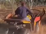 Horrific video of moment a man at Mt Isa runs into and then DRIVES OVER a bull on a quadbike