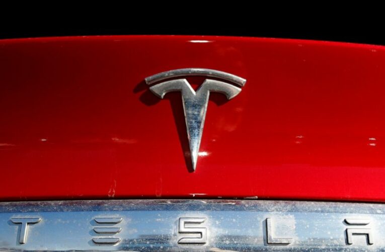 US has over 750 complaints of Teslas braking for no reason