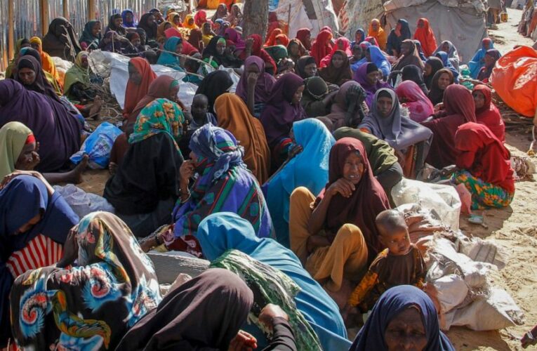 UN: Climate shocks, war fuel multiple looming food crises