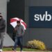 Covering collapse of SVB could cost $20 billion, FDIC chair to tell Congress